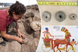 Scientists might be closer to learning who invented the wheel after discovering 12,000-year-old alleged stone spindle stabilizers at an archaeological site in Israel.