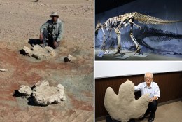 Largest two-legged dinosaur footprints discovered, scientists say — belonged to 50-foot 'giant'