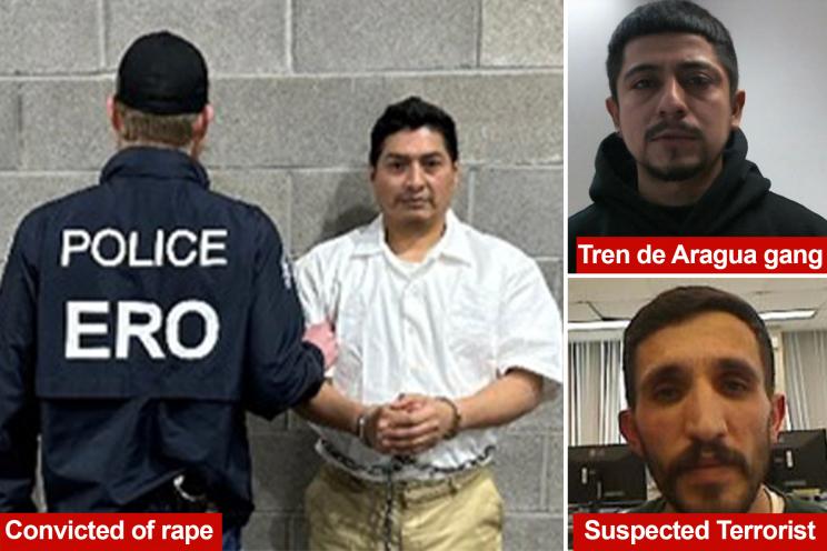 Trump’s ICE raids turn up pedos, gangbangers, and NY-based suspected terrorist as 538 migrants arrested: ‘Heinous crimes’