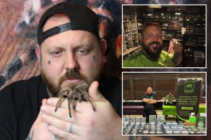 Man with spider collection